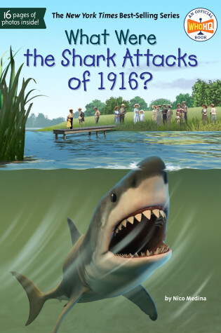 Cover of What Were the Shark Attacks of 1916?