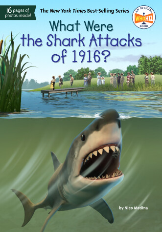 Book cover for What Were the Shark Attacks of 1916?