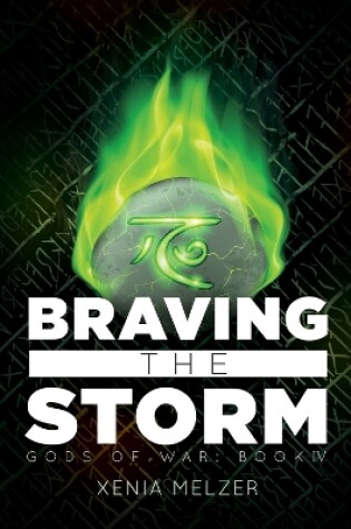 Cover of Braving the Storm Volume 4