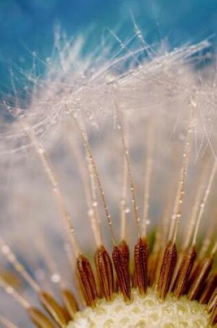 Cover of Fluffy Dandelion Ultra Close-Up Journal