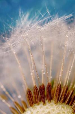 Cover of Fluffy Dandelion Ultra Close-Up Journal