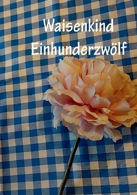 Book cover for Waisenkind Einhundertzwölf