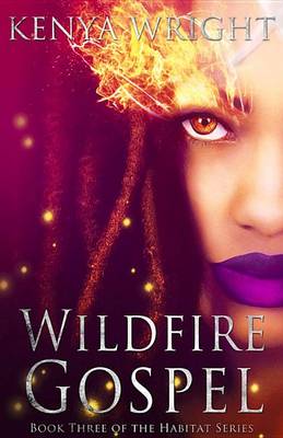 Book cover for Wildfire Gospel