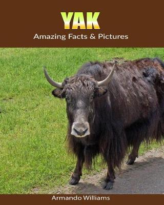 Book cover for Yak