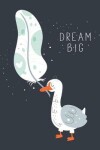 Book cover for Dream Big