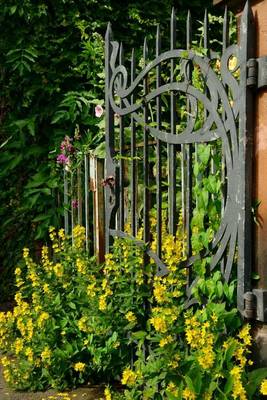 Book cover for Yellow Flowers Growing in Front of a Wrought Iron Gate