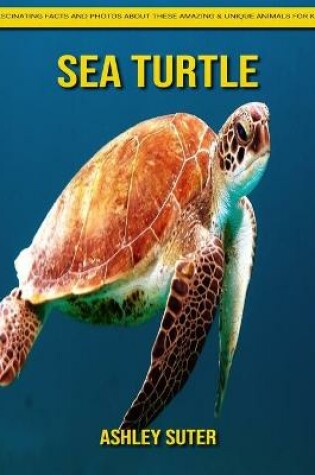 Cover of Sea Turtle