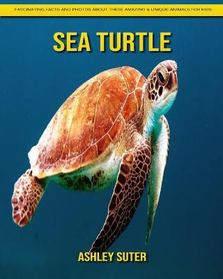 Book cover for Sea Turtle