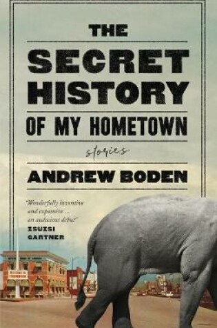 Cover of The Secret History of My Hometown