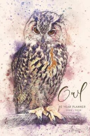 Cover of 2020-2029 10 Ten Year Planner Monthly Calendar Nocturnal Owl Goals Agenda Schedule Organizer