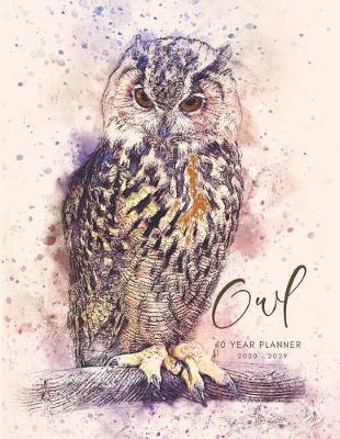 Book cover for 2020-2029 10 Ten Year Planner Monthly Calendar Nocturnal Owl Goals Agenda Schedule Organizer