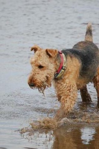 Cover of Airedale Terrier Dog Playing in the Water Journal