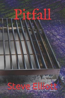 Book cover for Pitfall