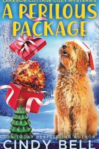 Cover of A Perilous Package