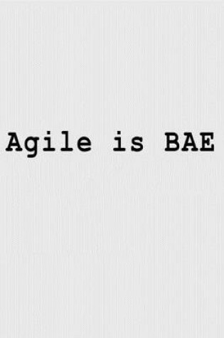 Cover of Agile is BAE