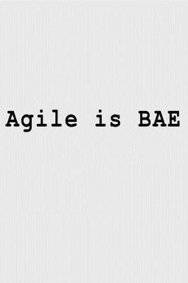 Book cover for Agile is BAE