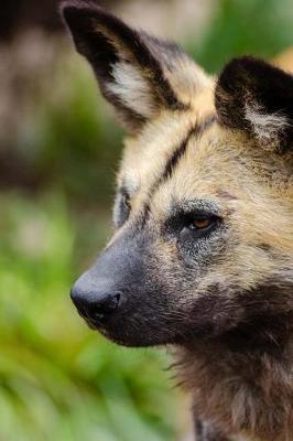 Book cover for African Wild Dog on the Lookout Journal