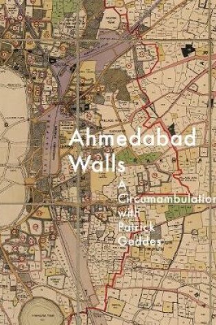 Cover of Ahmedabad Walls
