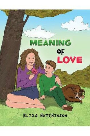 Cover of Meaning of Love