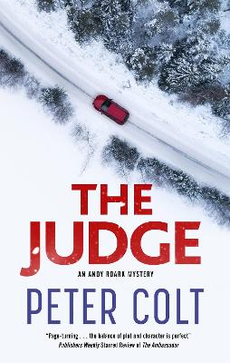Book cover for The Judge