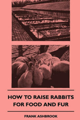 Cover of How To Raise Rabbits For Food And Fur