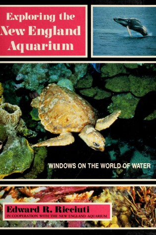 Cover of Exploring the New England Aquarium