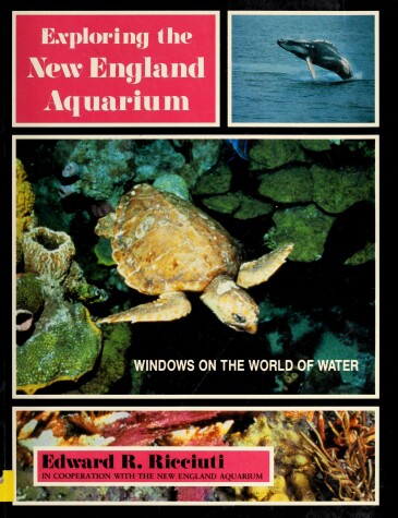 Book cover for Exploring the New England Aquarium