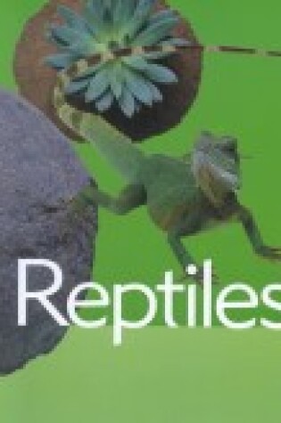 Cover of Reptiles (Animal Facts)