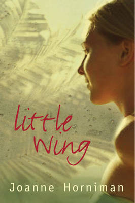 Book cover for Little Wing