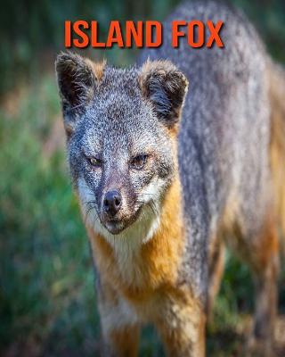 Book cover for Island Fox