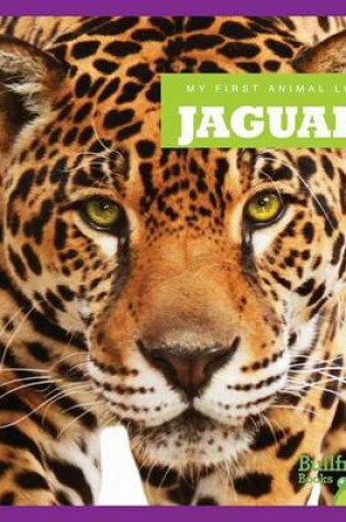 Cover of Jaguars