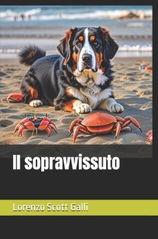 Cover of Il sopravvissuto