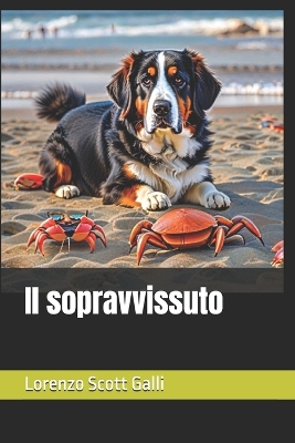 Book cover for Il sopravvissuto