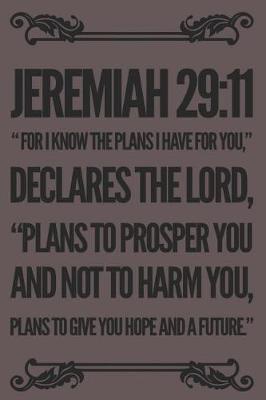 Book cover for Jeremiah 29