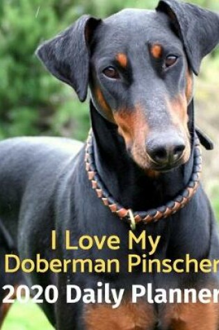 Cover of I Love My Doberman Pinscher