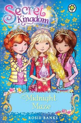 Cover of Midnight Maze