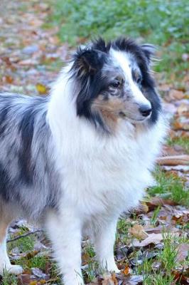 Book cover for Gorgeous Shetland Sheepdog Portrait Journal