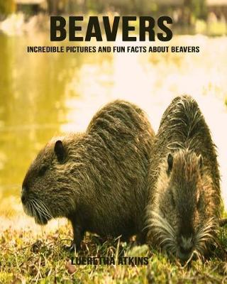 Book cover for Beavers