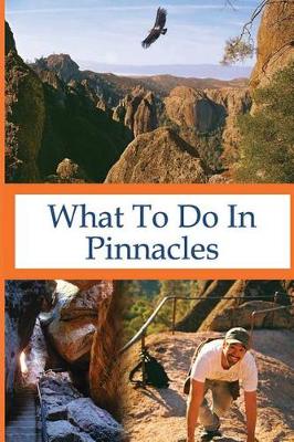 Book cover for What To Do In Pinnacles