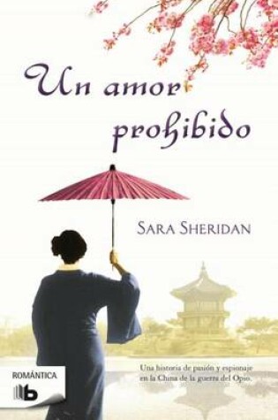 Cover of Un Amor Prohibido