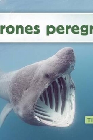 Cover of Tiburones Peregrinos