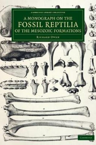 Cover of A Monograph on the Fossil Reptilia of the Mesozoic Formations