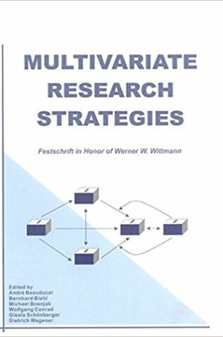 Cover of Multivariate Research Strategies