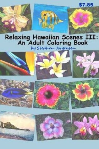 Cover of Relaxing Hawaiian Scenes III