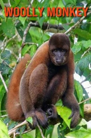 Cover of Woolly Monkey