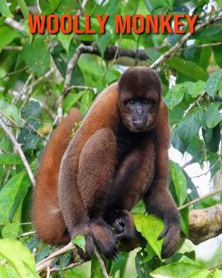 Book cover for Woolly Monkey