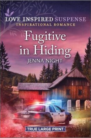 Cover of Fugitive in Hiding