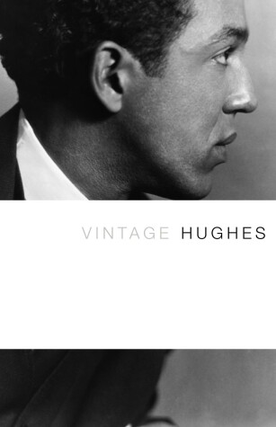 Book cover for Vintage Hughes