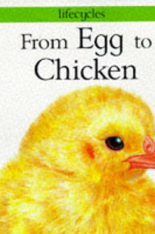 Cover of From Egg to Chicken