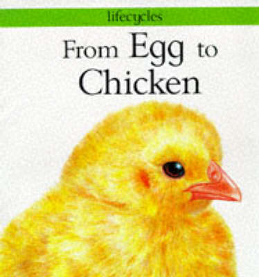 Book cover for From Egg to Chicken